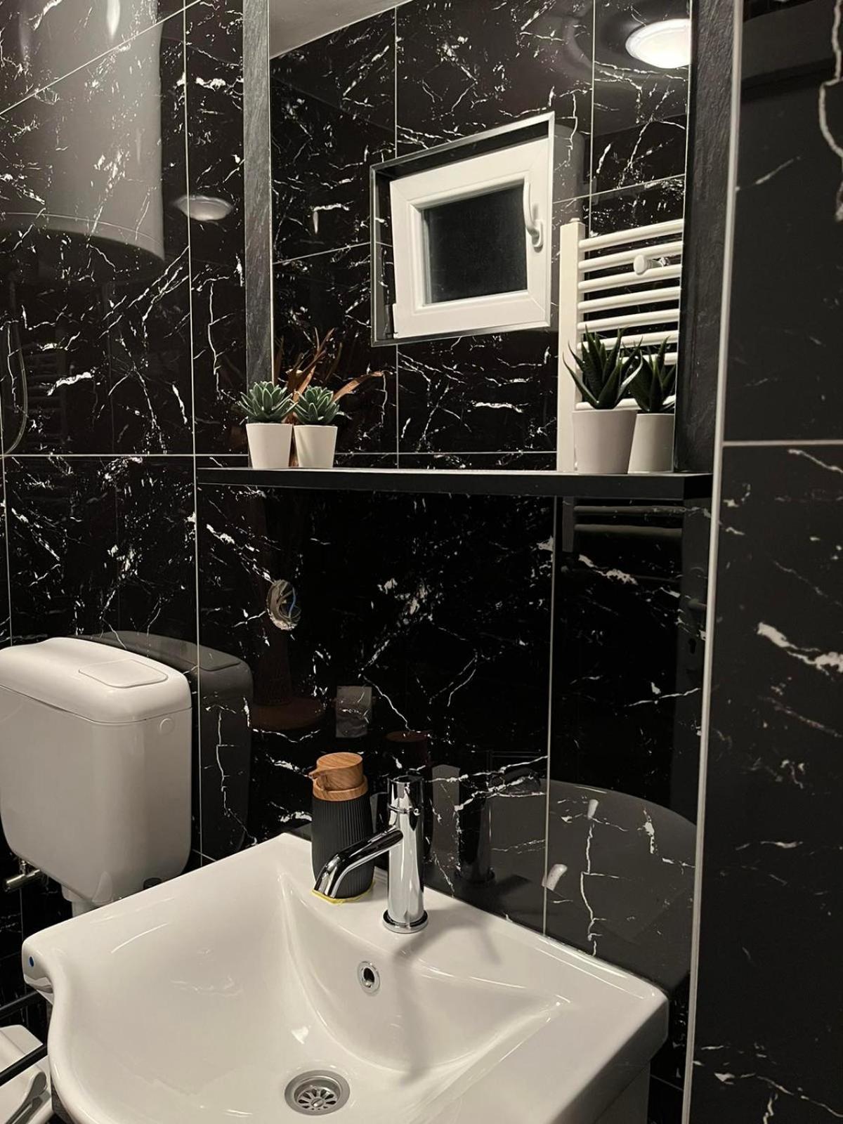 Mulen Ruz Simic Apartment Golubac
