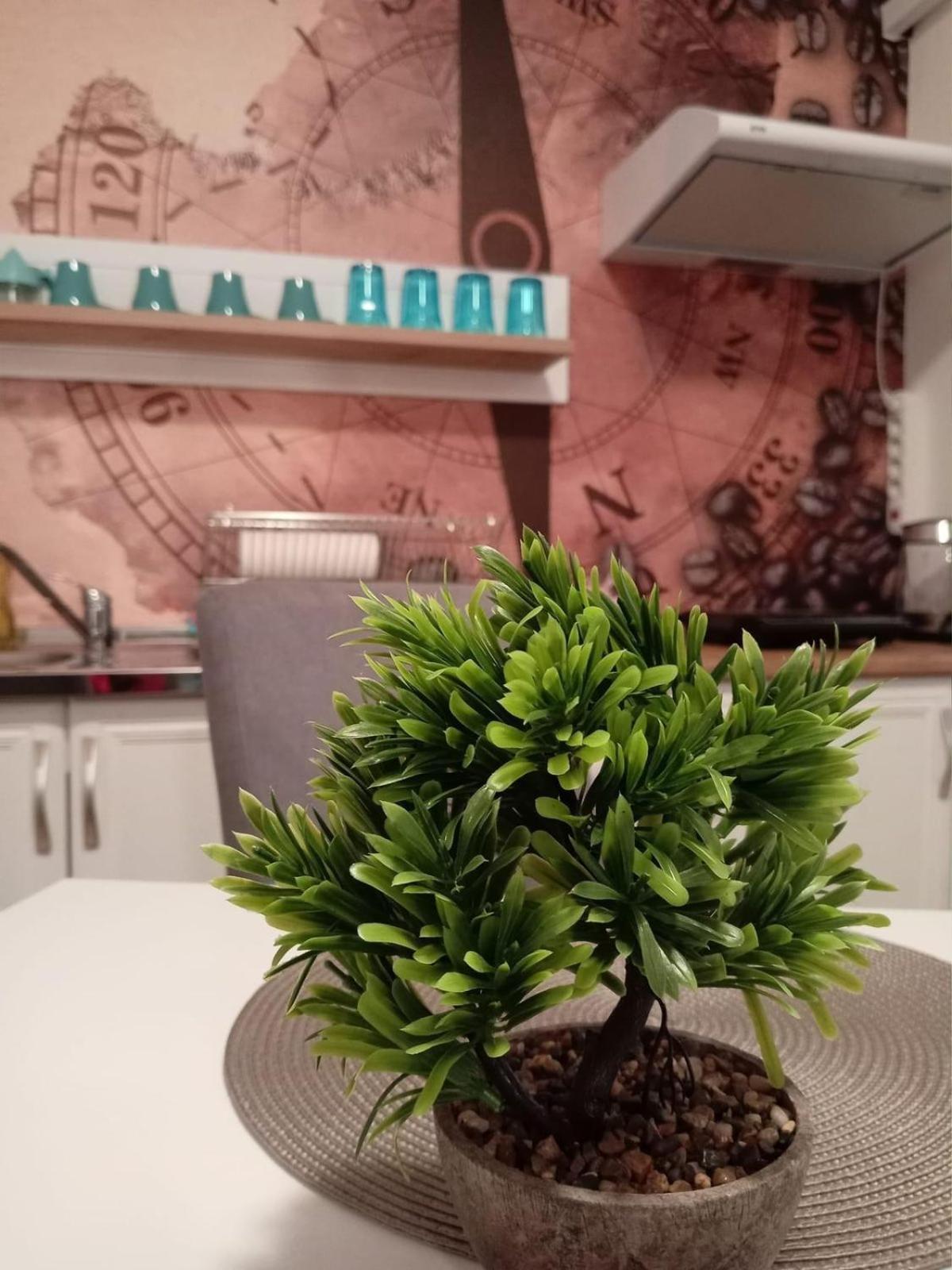 Apartman Mulen Ruz Simic *